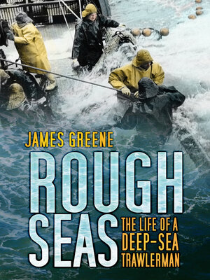 cover image of Rough Seas